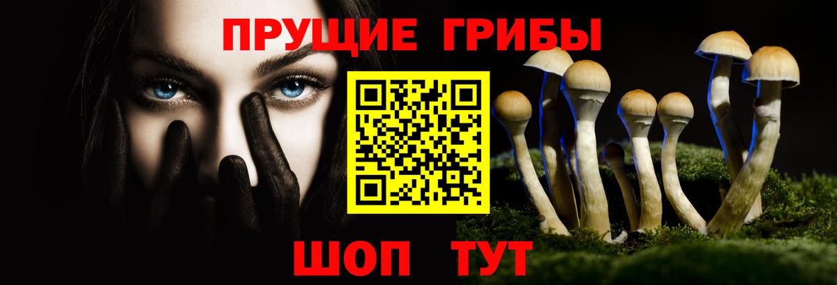 Галлюциногенные грибы Magic Shrooms Калуга